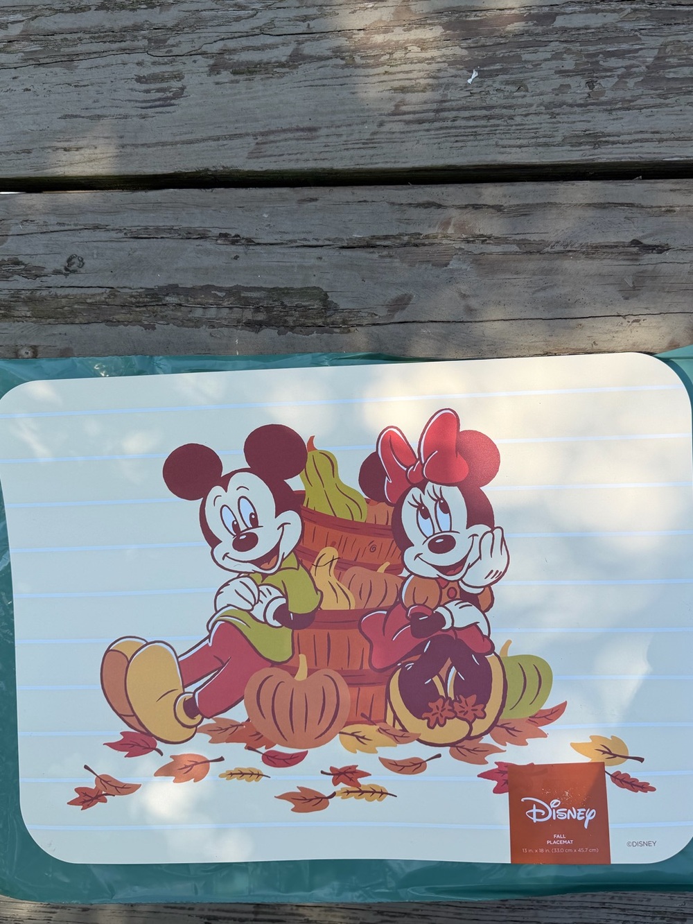 4 Pack Bundle of Disney Fall Theme 13x18 Placemats